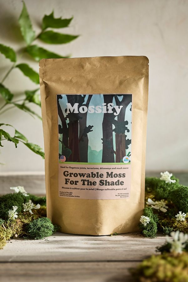 Slide View: 1: Growable Moss, Shade