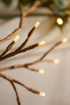 Thumbnail View 5: Solar LED Ivy Branch Lights