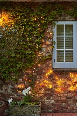 Solar LED Ivy Branch Lights