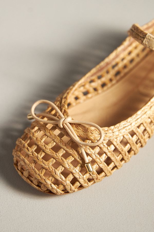 Slide View: 2: Vicenza Woven Ballet Flats