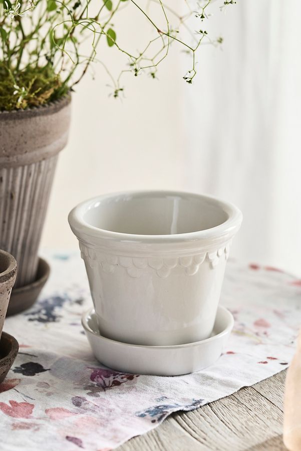 Slide View: 3: Bergs Glazed Terracotta Copenhagen Pot + Saucer Set