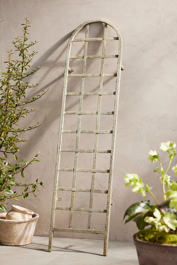 Slide View: 1: Iron Arch Wall Trellis