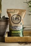 Thumbnail View 1: Sol Soils Houseplant Chunky Mix