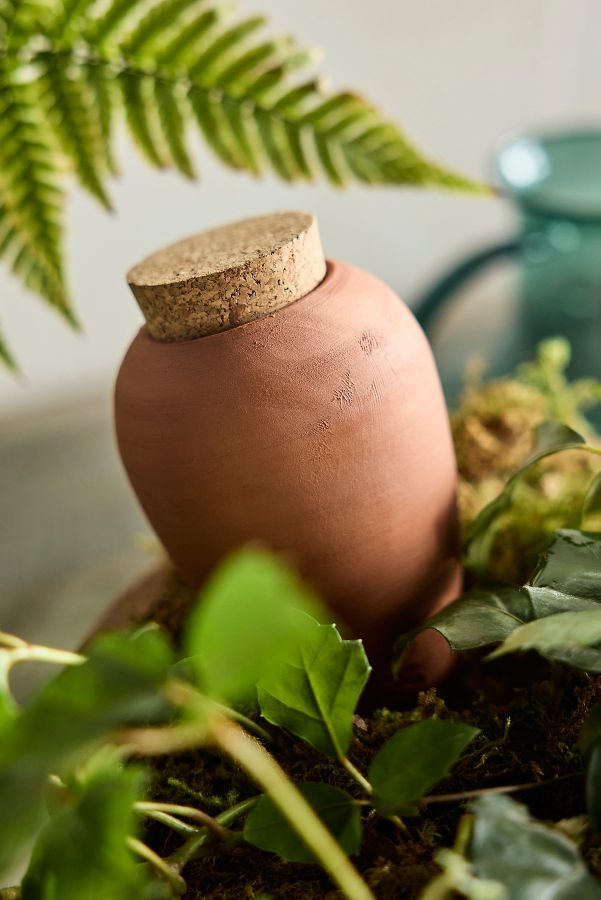 Slide View: 2: Terracotta Watering Olla