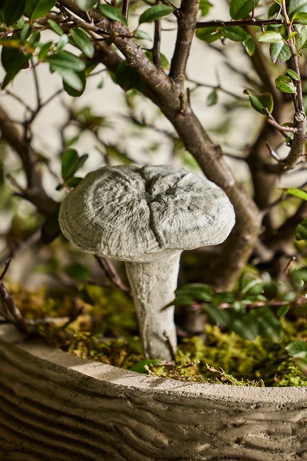 Slide View: 1: Concrete Shiitake Mushroom Pick