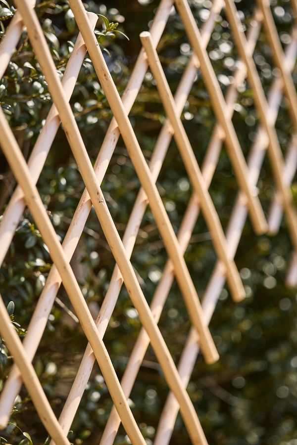 Slide View: 3: Expandable Woven Willow Diamond Fencing