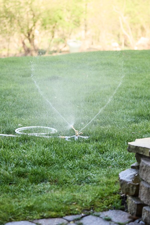 Slide View: 6: Brass Whirl Sprinkler