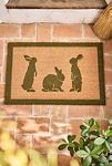 Thumbnail View 1: Spring Hares Doormat