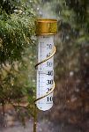 Thumbnail View 2: Brass Rain Gauge