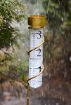 Thumbnail View 1: Brass Rain Gauge