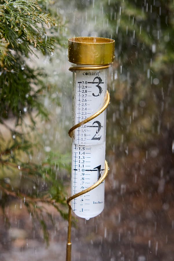 Slide View: 1: Brass Rain Gauge