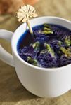 Thumbnail View 2: The Qi Butterfly Pea Flower Tea