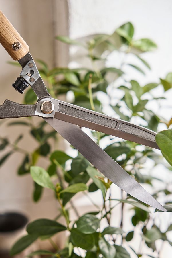 Slide View: 2: Sophie Conran for Burgon & Ball Garden Shears