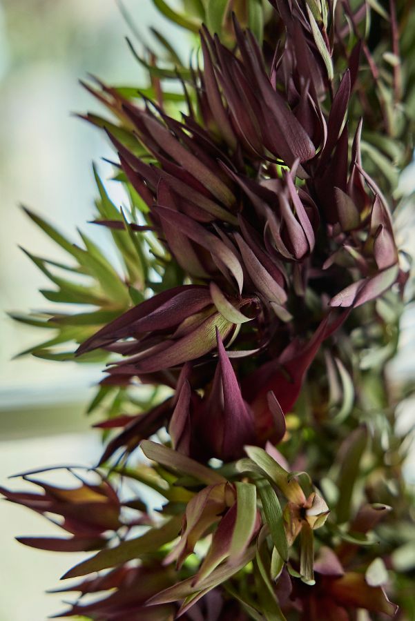 Slide View: 2: Fresh Grasses + Florals Wreath