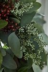 Thumbnail View 2: Fresh Eucalyptus + Pepperberry Wreath