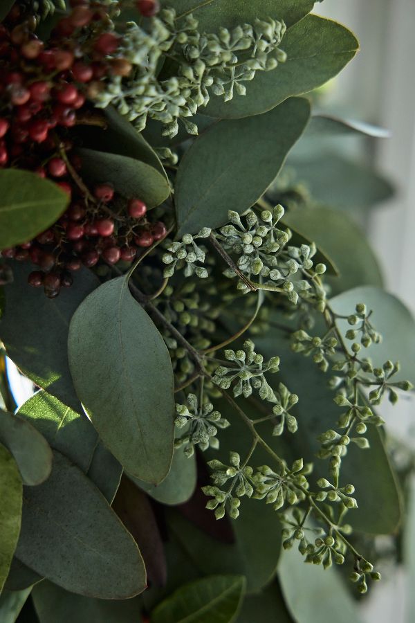 Slide View: 2: Fresh Eucalyptus + Pepperberry Wreath