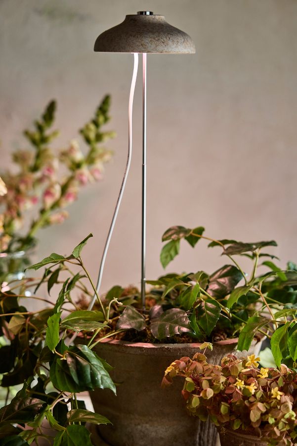 Slide View: 2: Adjustable Bamboo Grow Light