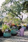 Thumbnail View 5: Haws Long Reach Watering Can, Lilac