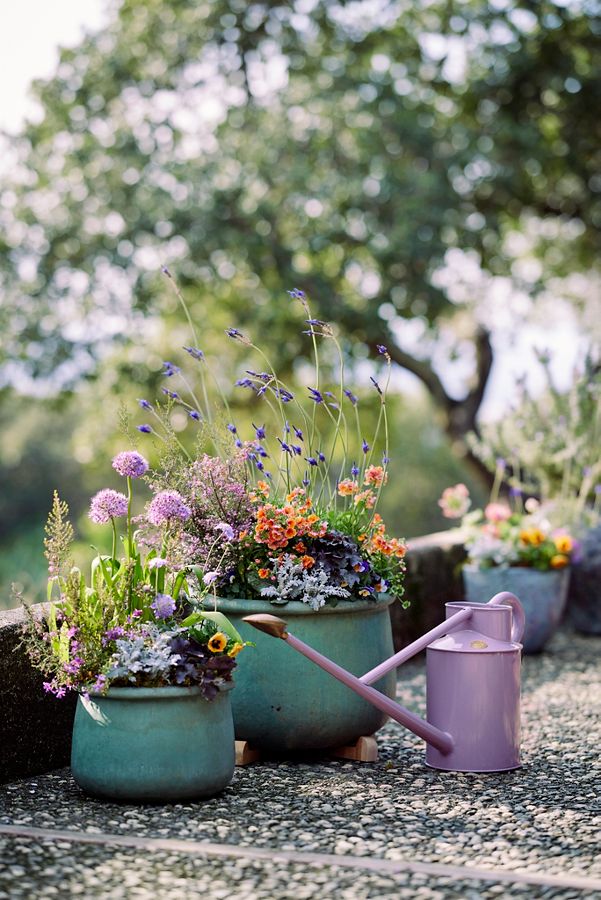 Slide View: 5: Haws Long Reach Watering Can, Lilac