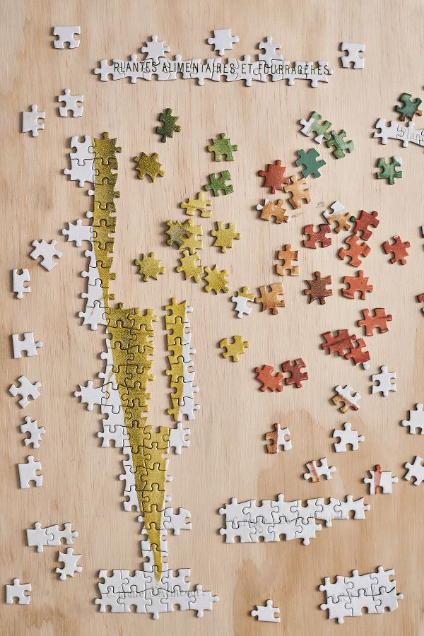 Slide View: 2: Carrots Puzzle