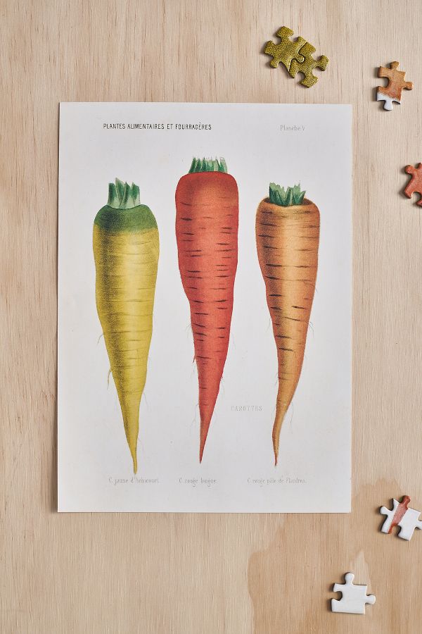 Slide View: 3: Carrots Puzzle