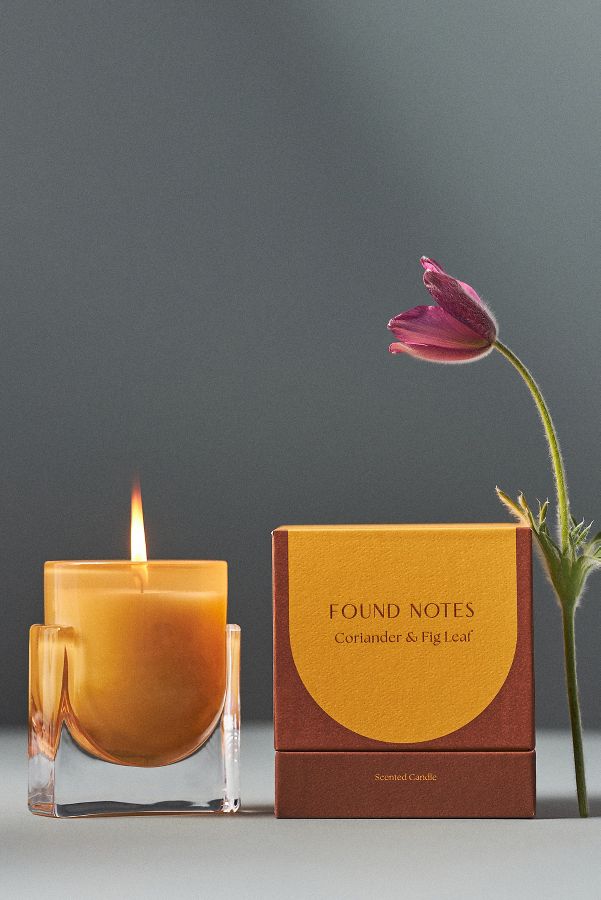 Vista de diapositivas: 1: Found Notes Coriander & Fig Leaf Boxed Candle