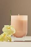 Thumbnail View 3: Found Notes Floral Rose & Oud Candle