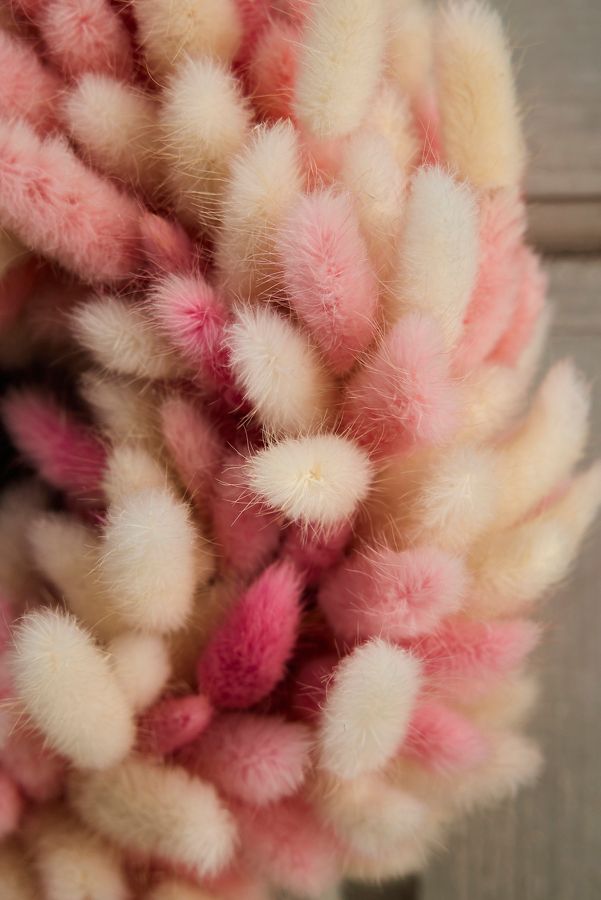 Slide View: 2: Preserved Bunny Tails Wreath