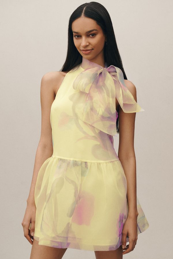 Slide View: 1: BHLDN Sophia High-Neck Bow-Tie Organza Mini Dress