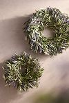 Thumbnail View 5: Fresh Lavender + Olive Wreath