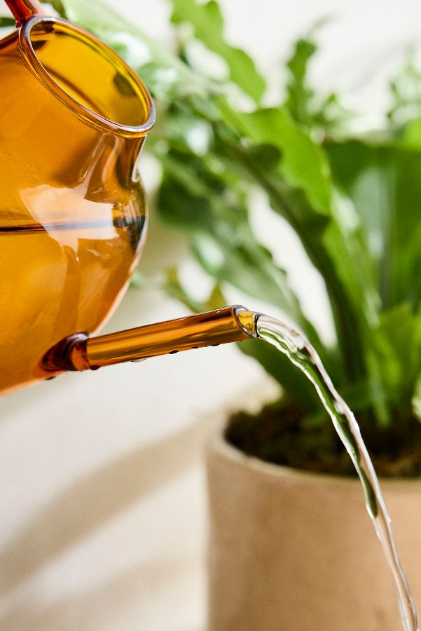 Slide View: 2: Amber Glass Watering Can