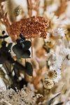 Thumbnail View 2: Dried Dutch Field Mix Bouquet, Coral