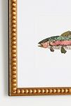 Thumbnail View 2: Pressed Flower Rainbow Trout Wall Art