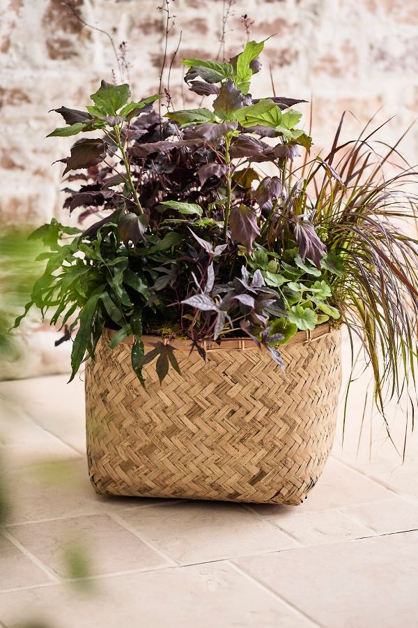 Slide View: 1: Woven Bamboo + Fiber Square Base Planter, Low