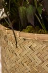 Thumbnail View 5: Woven Bamboo + Fiber Square Base Planter