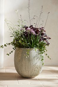 Slide View: 2: Barnacle Fiber Concrete Egg Planter