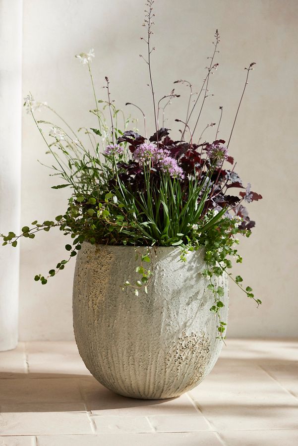 Slide View: 2: Barnacle Fiber Concrete Egg Planter