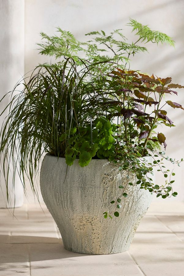 Slide View: 6: Barnacle Fiber Concrete Curved Jar Planter