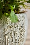 Thumbnail View 3: Barnacle Fiber Concrete Curved Jar Planter