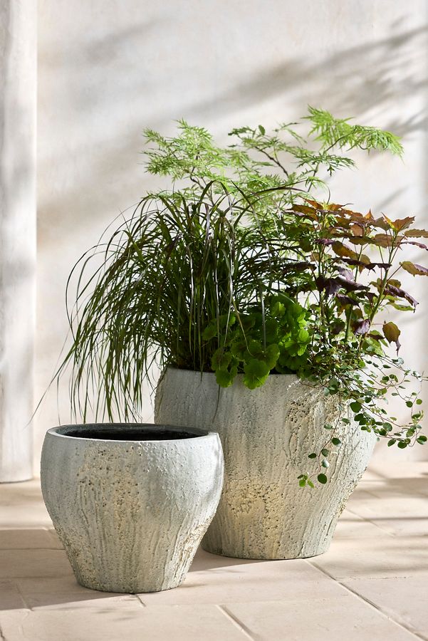 Slide View: 2: Barnacle Fiber Concrete Curved Jar Planter