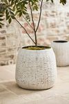 Thumbnail View 6: Bamboo + Fiber Jar Planter