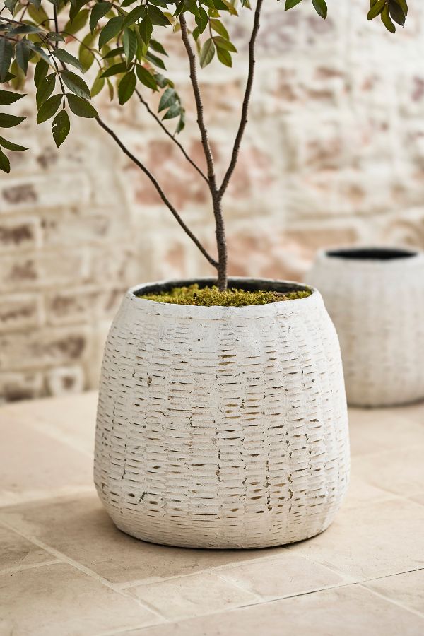 Slide View: 6: Bamboo + Fiber Jar Planter