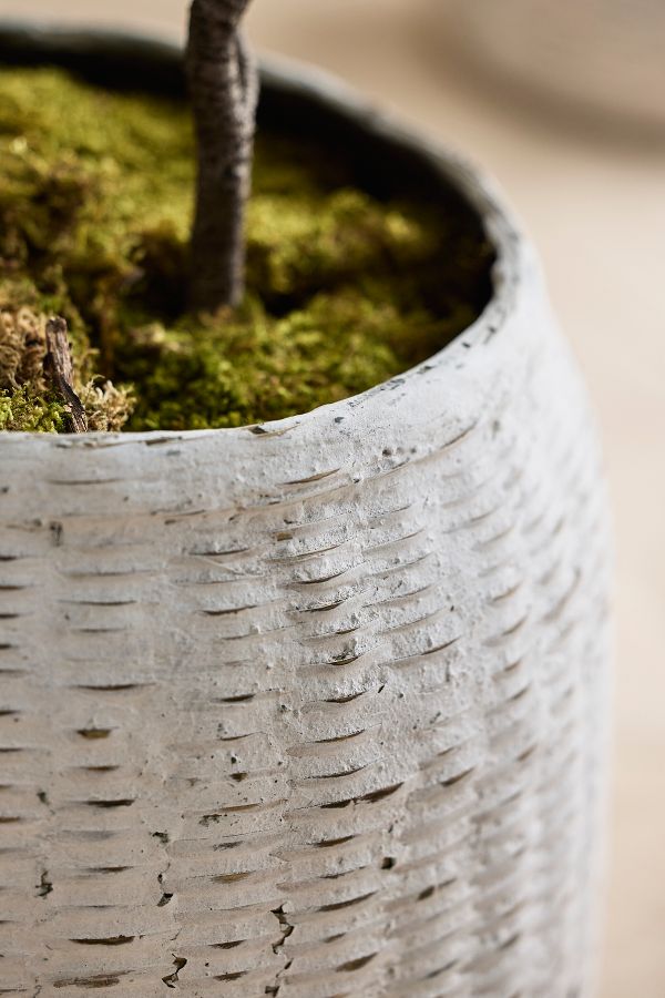 Slide View: 2: Bamboo + Fiber Jar Planter