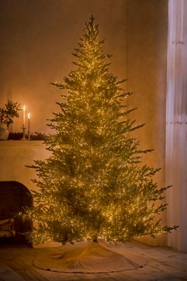 Artificial Twinkling Pre-Lit Norway Spruce
