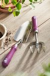 Thumbnail View 1: Burgon & Ball Asteraceae Hand Tool Gift Set