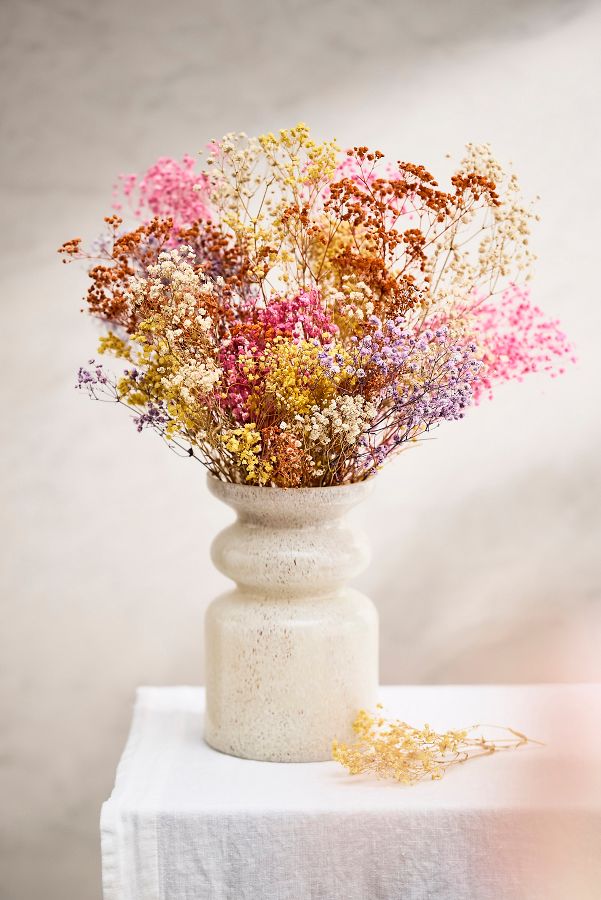 Slide View: 1: Dried Rainbow Gypsophila Bunch