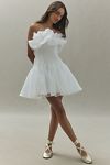 Thumbnail View 1: Acler Clements Strapless Organza Mini Dress