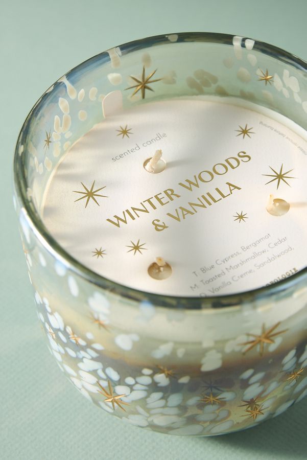 Slide View: 5: Festive Woody Winter Woods & Vanilla Gilded Glass Jar Candle