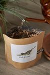 Thumbnail View 2: Cat Grass Grow Bag Kit