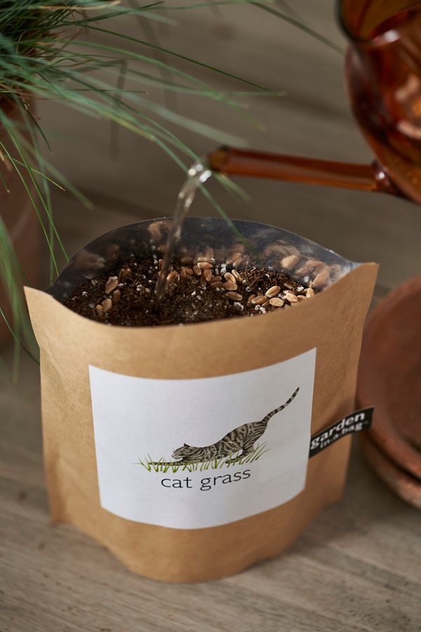 Slide View: 2: Cat Grass Grow Bag Kit